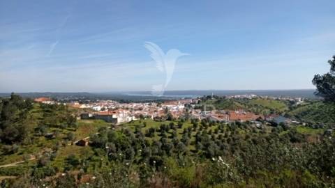Casa de campo c/ vista barragem, montargil