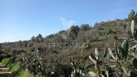 Casa de campo c/ vista barragem, montargil