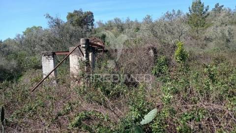 Casa de campo c/ vista barragem, montargil