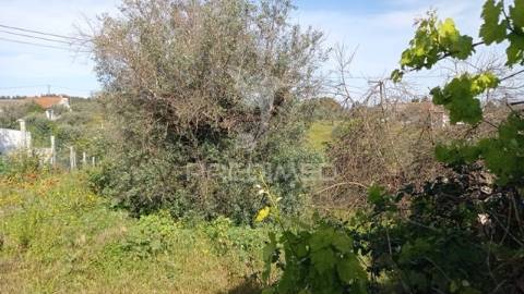 Casa típica do ribatejo em alvega, concelho de abrantes.