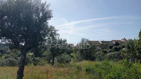 Casa típica do ribatejo em alvega, concelho de abrantes.