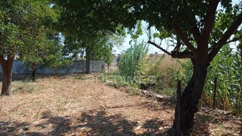 Casa de rés do chão, sousel.