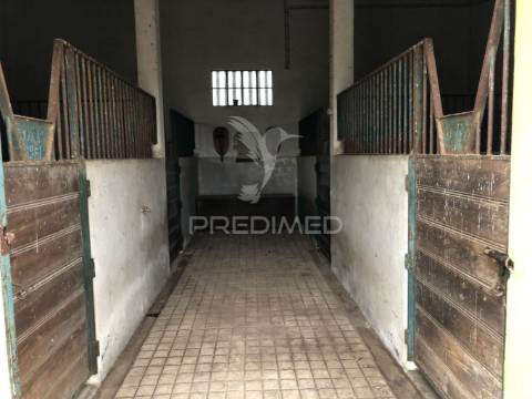 Moradia t4 com garagem e amplo terreno – vale de santarém