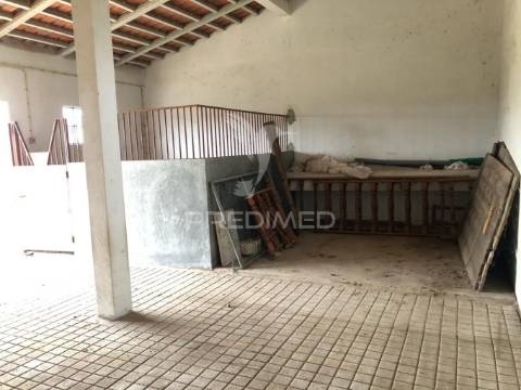 Moradia t4 com garagem e amplo terreno – vale de santarém