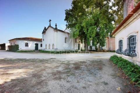 Quinta paço da graciosa/palacete