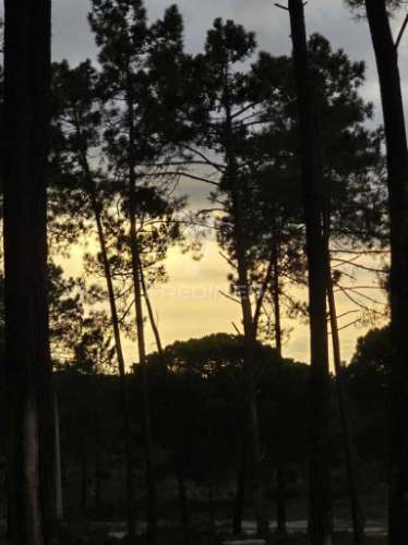 Terreno para construção - vila nova stº andré