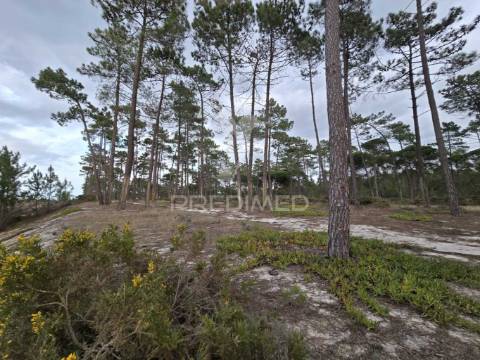 Terreno para construção - vila nova stº andré
