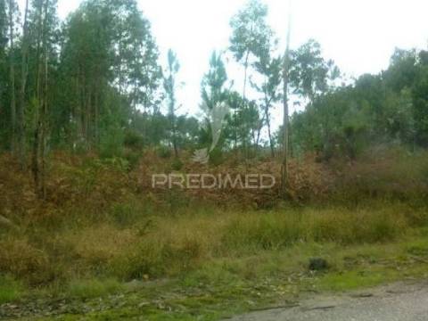 Três lotes para construção habitacional