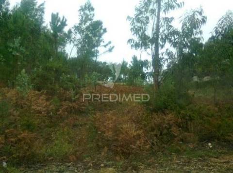 Três lotes para construção habitacional