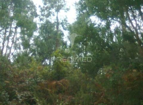 Terreno para construção