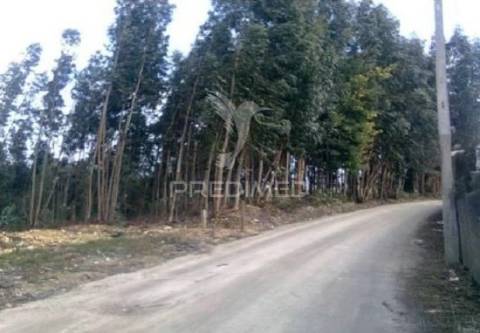 Terreno rústico com possibilidade de construção industrial