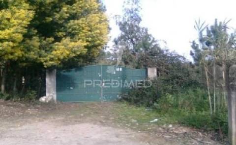 Terreno rústico com possibilidade de construção industrial