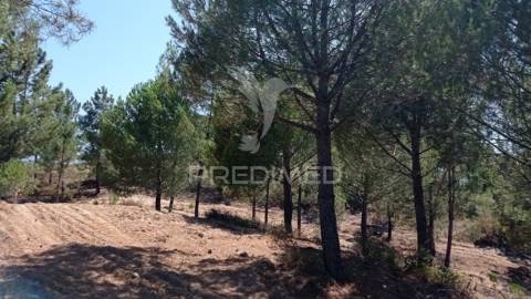 Conjunto de duas herdades 71,70 hectares, junto à vila de mora.