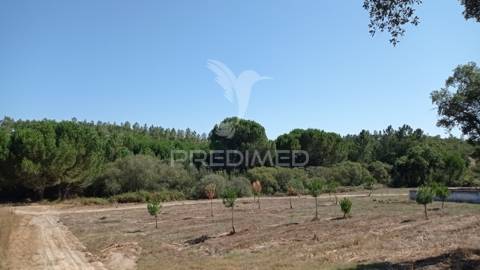 Conjunto de duas herdades 71,70 hectares, junto à vila de mora.