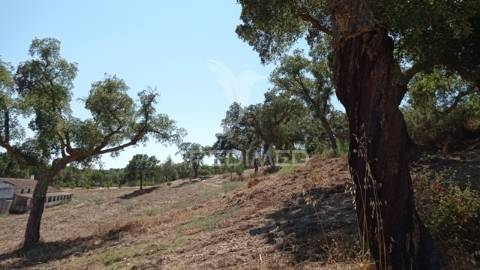 Conjunto de duas herdades 71,70 hectares, junto à vila de mora.