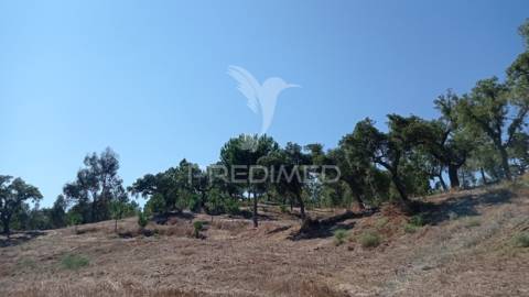 Conjunto de duas herdades 71,70 hectares, junto à vila de mora.