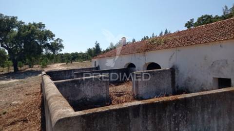 Conjunto de duas herdades 71,70 hectares, junto à vila de mora.