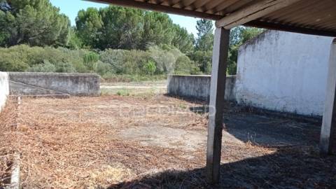 Conjunto de duas herdades 71,70 hectares, junto à vila de mora.