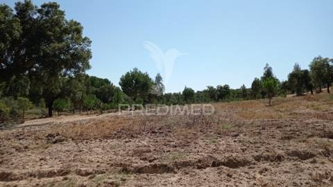 Conjunto de duas herdades 71,70 hectares, junto à vila de mora.