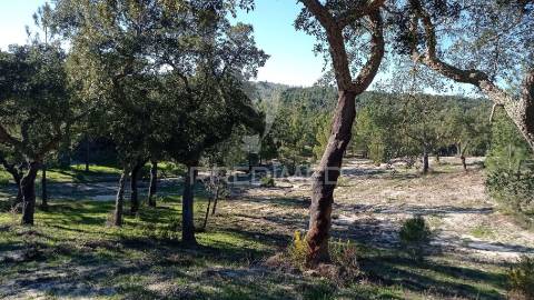 Conjunto de duas herdades 71,70 hectares, junto à vila de mora.