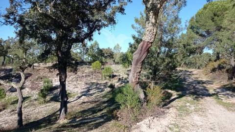 Conjunto de duas herdades 71,70 hectares, junto à vila de mora.