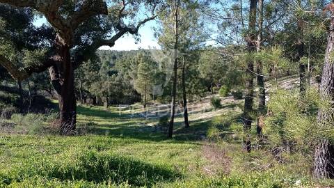 Conjunto de duas herdades 71,70 hectares, junto à vila de mora.