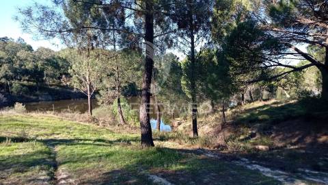 Conjunto de duas herdades 71,70 hectares, junto à vila de mora.