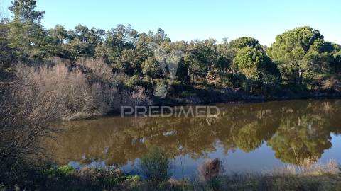 Conjunto de duas herdades 71,70 hectares, junto à vila de mora.