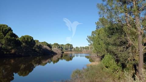 Conjunto de duas herdades 71,70 hectares, junto à vila de mora.