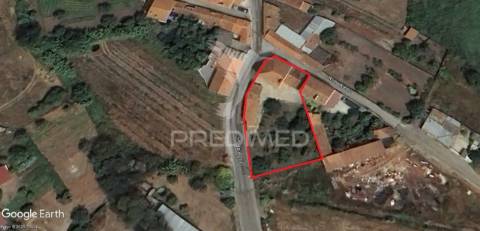 Quintinha isolada, com 710 m2 de terreno, em margem, concelho de gavião.