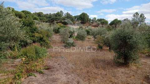 Ruína localizada na barragem de montargil