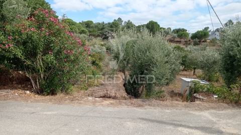 Ruína localizada na barragem de montargil