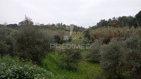 Casa devoluta em vale de açor, bemposta