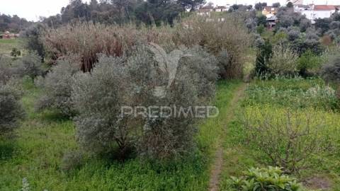 Casa devoluta em vale de açor, bemposta