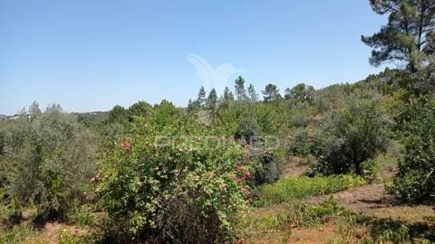 Casa na aldeia de souto, abrantes