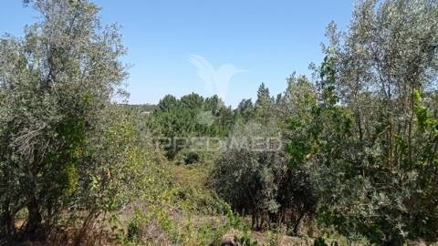 Casa na aldeia de souto, abrantes