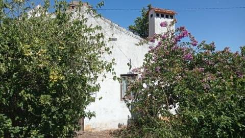Casa na aldeia de souto, abrantes