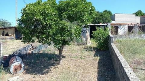 Casa na aldeia de vale das mós, abrantes