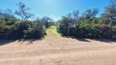 Terreno rustico em loulé com acesso directo
