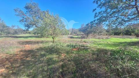 Terreno rustico em loulé com acesso directo