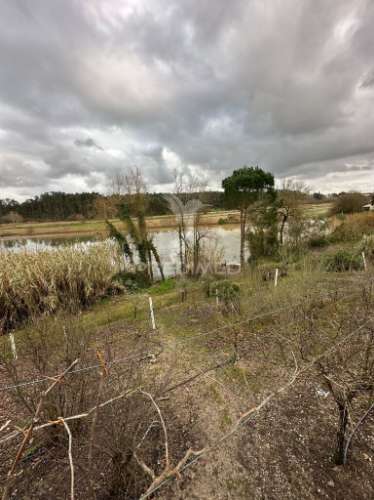 Moradia t3 c/ terreno de 2000m2