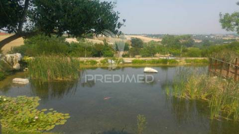 Quinta com fábrica de gin  e cerveja artesanal