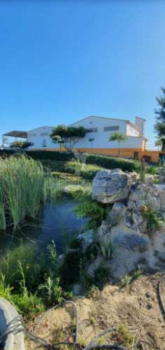 Quinta com fábrica de gin  e cerveja artesanal