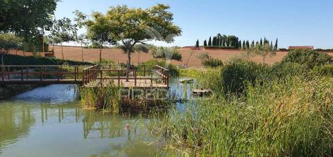 Quinta com fábrica de gin  e cerveja artesanal