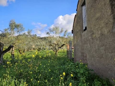 Moradia próxima praias fluviais