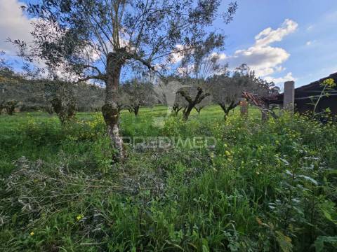 Moradia próxima praias fluviais