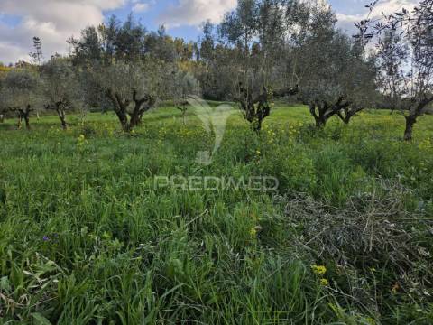 Moradia próxima praias fluviais