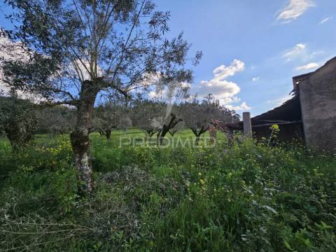 Moradia próxima praias fluviais