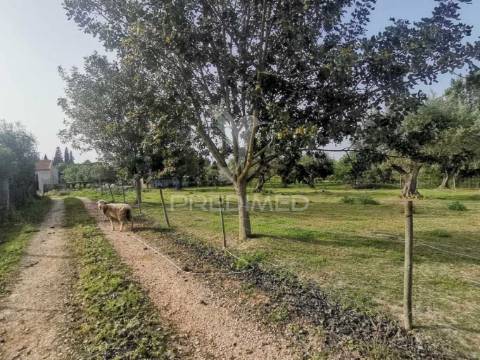 Valor negociável- encantadora moradia renovada em pedra e madeira.