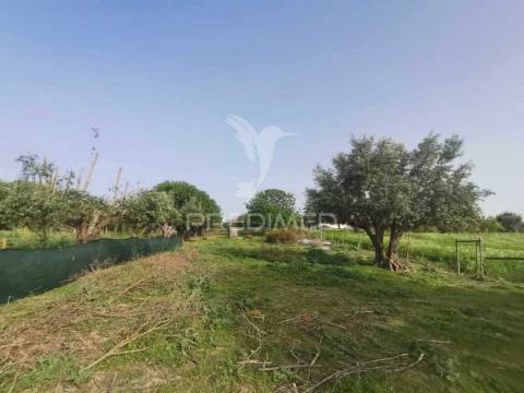 Valor negociável- encantadora moradia renovada em pedra e madeira.